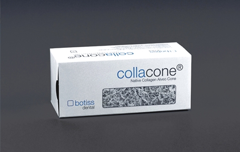 ������������ ������������ ����� Collacone