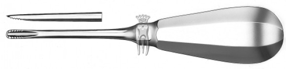 �������� �������� 545/3 Lindo-Levien