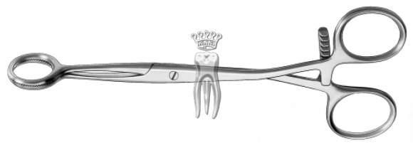 ����� ��� ����� 520 Collin