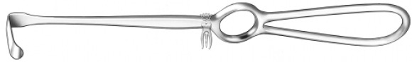 ��������������� 1890/1 Langenbeck