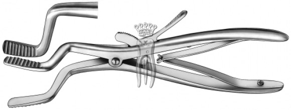 ��������������� 510 Roser-König
