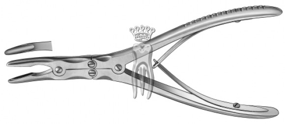 ������� ������� 1837 Beyer