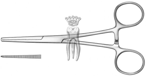 ����� 1899 Kocher