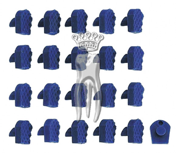 �������� ����� 1113/2