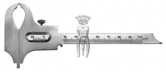�������������� 1596 Boley