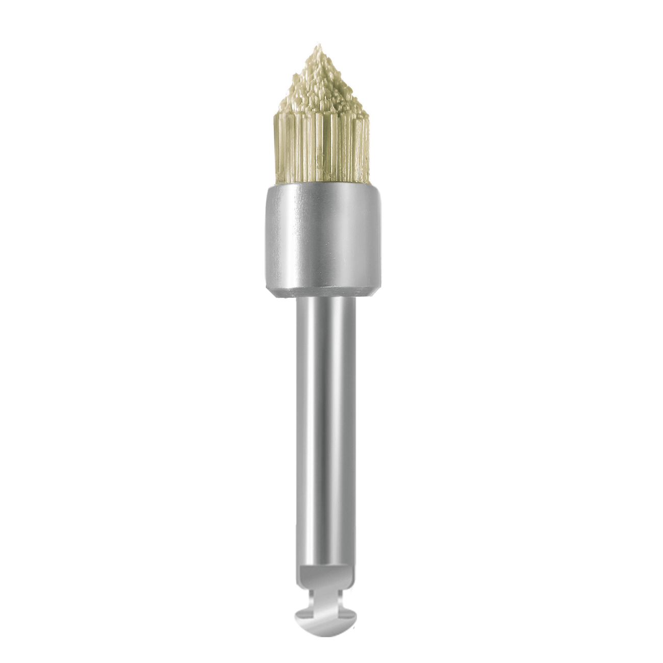 ������� EVE BRUSH WS1 (�������� 10 ��), 9493DS010
